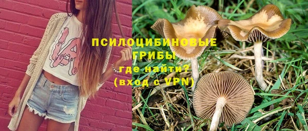 соль ск Алзамай