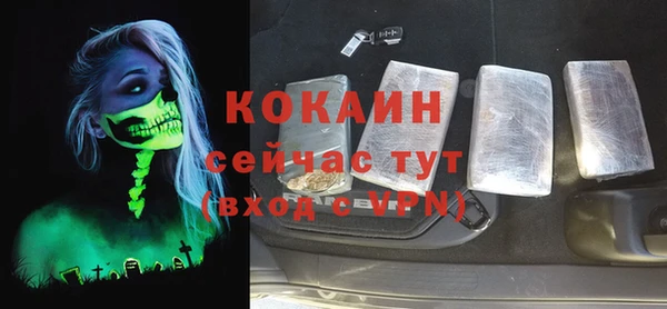 соль ск Алзамай