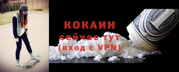 соль ск Алзамай