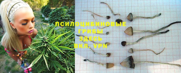 первитин Алексеевка