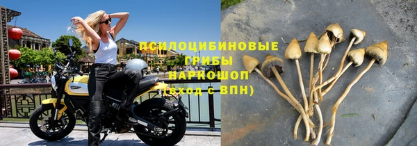 соль ск Алзамай