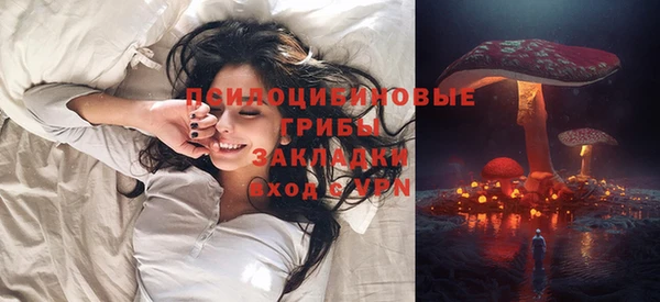 таблы Алексин